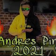 Dj Andres Pinguin Mix Summer 2021