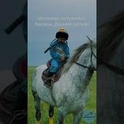 Казахские Скачки На Лошадях