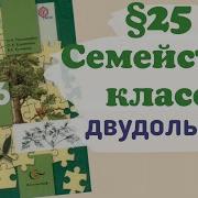 25 Параграф Биология 6 Класс