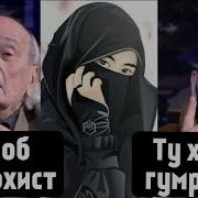 Маълумот Оиди Бахс