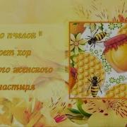 Кто Пчелок Уважает Поет Хор Корецкого Женского Монастыря