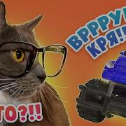 Ним Школы Котов