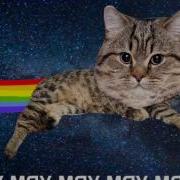 Соси Писос 2 Кот Писос Nyan Cat