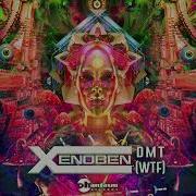 Xenoben Omt Wtf Original Mix