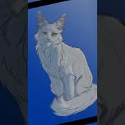 Коты Воители Буран
