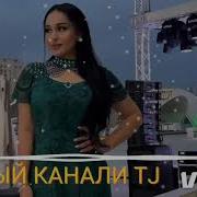Маҳмадали Умар 2025
