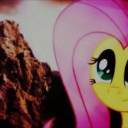 Flutterwonder Remix