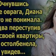 Очнувшись На Дне Оврага Диана