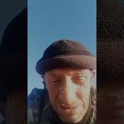 Николай Фоменко Золотая Рыбка