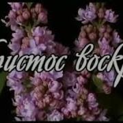 Потонули Тропинки В Зелени