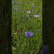 Горы Любят Не Всех И Принимают Не Каждого Горы Как И Женщины Любят Отважного