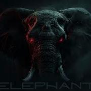 Elephant Dj