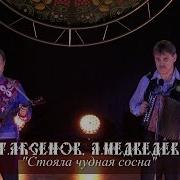Алексей Медведев Стояла Чудная Сосна