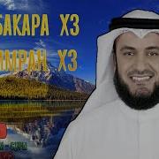 Сура Аль Бакара На Всю Ночь Мишари Рашид