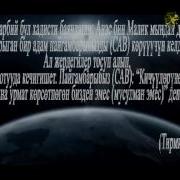 Пайгамбар Мухаммад С А В Дын Хадистери