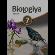 Biologiya Məməlilər Sinfi