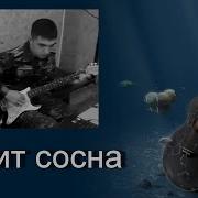 Песни Под Гитару Стоит Сосна Поёт Девушка