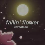 Seventeen Fallin Flower Slowed