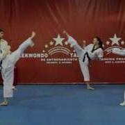 World Taekwondo Training Program Dvd No 1