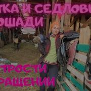 Чистим И Седлаем Лошадь