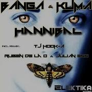 Hannibal Tj Hook A Remix