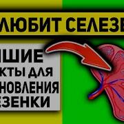 Он Любит Мед И Гретские Орехи Бодячих Собак