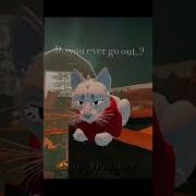 Коты Воители I Can See You From Be