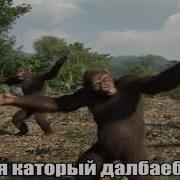 Я Который Дол