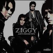 Ziggy Junky Crash