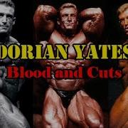 Blood And Guts