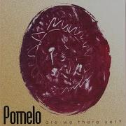 Black Pomelo Music