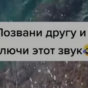 Здравствуйте Звук