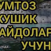 Мумтоз Кушиклар Туплами 2024