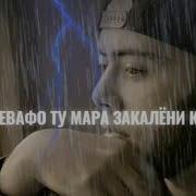 Мастер Сура Дар Гариби Шохи Шохи