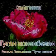 Татарские Песни Флюра С Днём Рождения 40 Летием