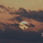 Чаёри Ту Чаёри Толя Баленгиро Лёша Лабано Цыганская Песня New 2019