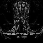 Fractalize Immersion 2020 Thall