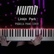 Pianella Piano Numb