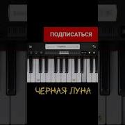 Анита Цой Синтезатор