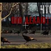 Паранормальные Мистические Видео Снятые На Камеру Новая Подборка Мистических Видео Анимация