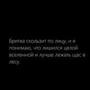 Собаки Любят Бросаться Под Поезд Скачать