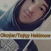 Babagammar Basimow Janly Sesim Gosgy Ayal Doganlar Hakda
