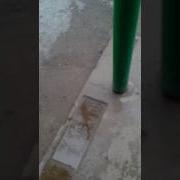 Приколы По Домофону