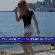 Dj Adic In The Night