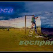 Завеса Восприятия Горан Бэклунд