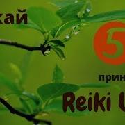 Гокай Духовная Практика Рэйки 1