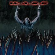 Wasp All My Life