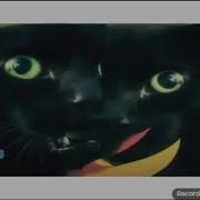 Коты Поют Песни 2 Часть