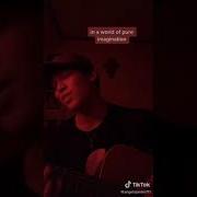 Pure Imagination Tik Tok
