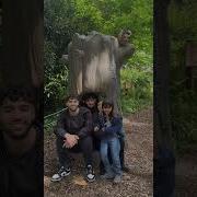 Bebecito